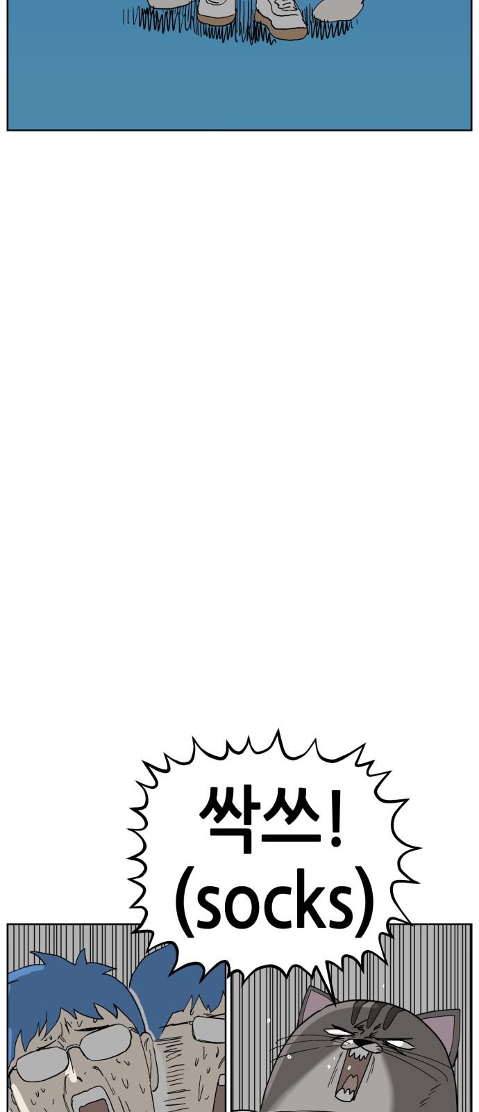 1735337498327axvtcvah9w5.jpg
