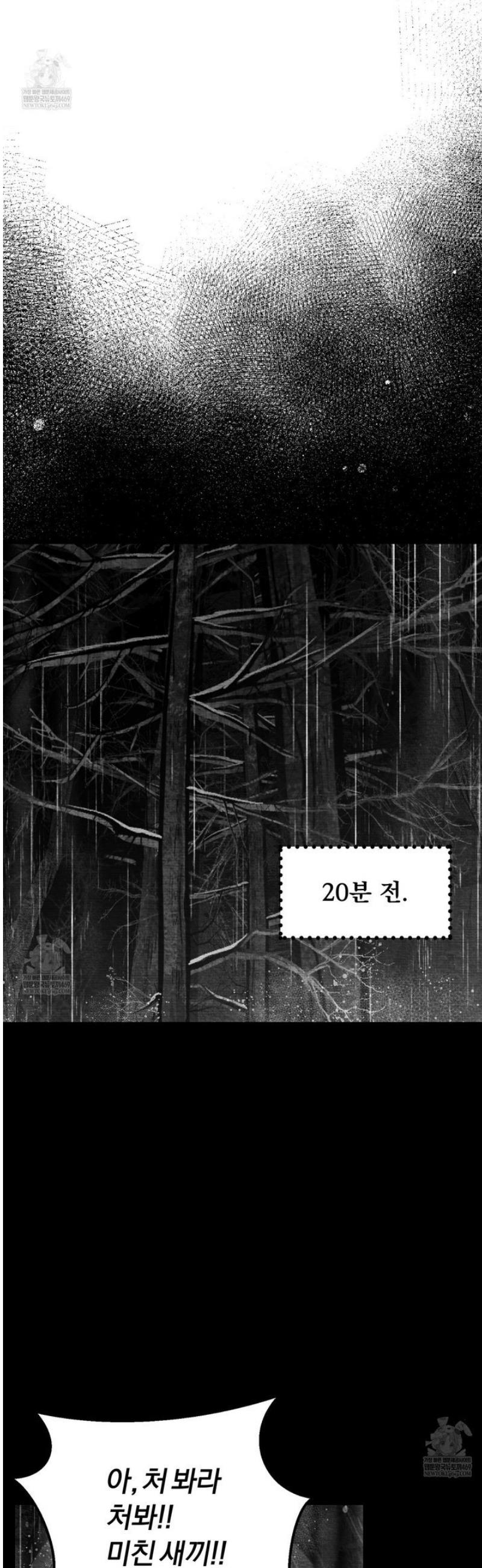 009.jpg