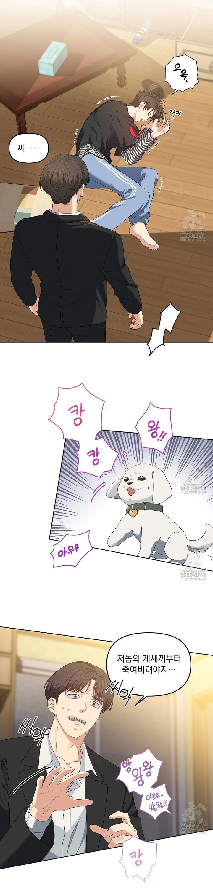 1741656183213apyjoteu3wi.jpg