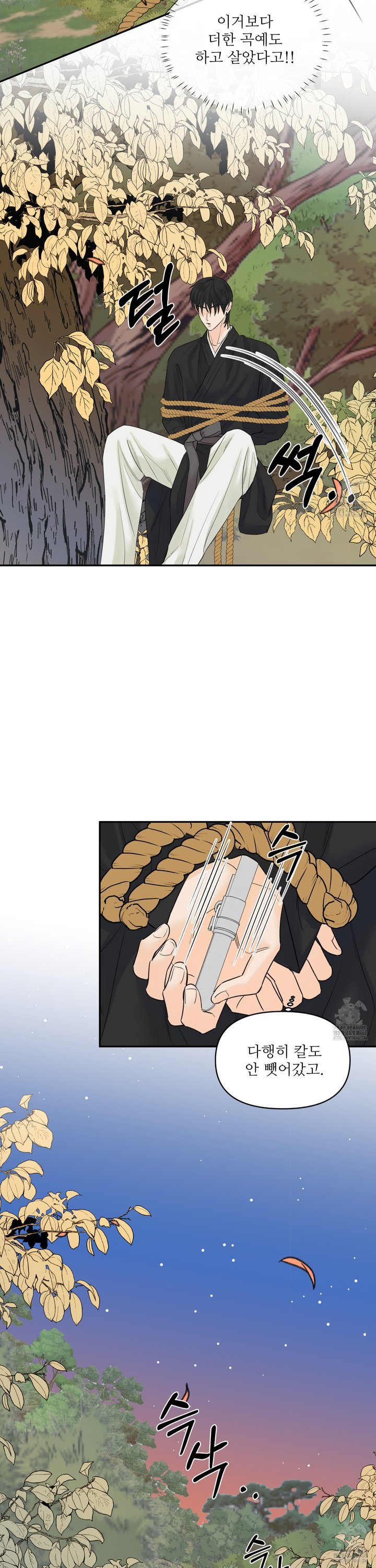 1740870807873iq0dbkipxk.jpg