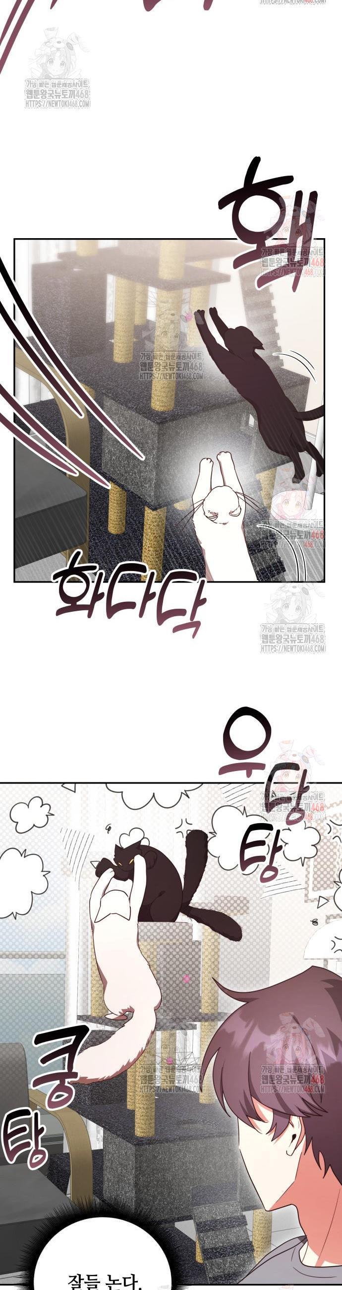 1747102123120clwfkm0yout.jpg