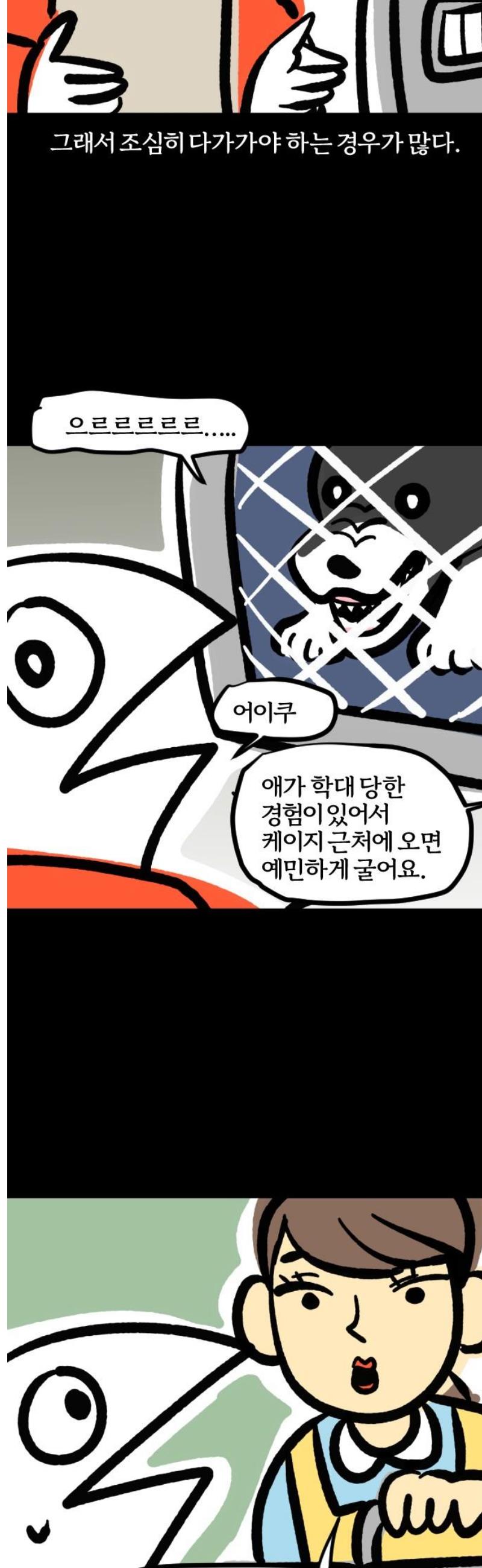 1747102476211sorqd0exa.jpg