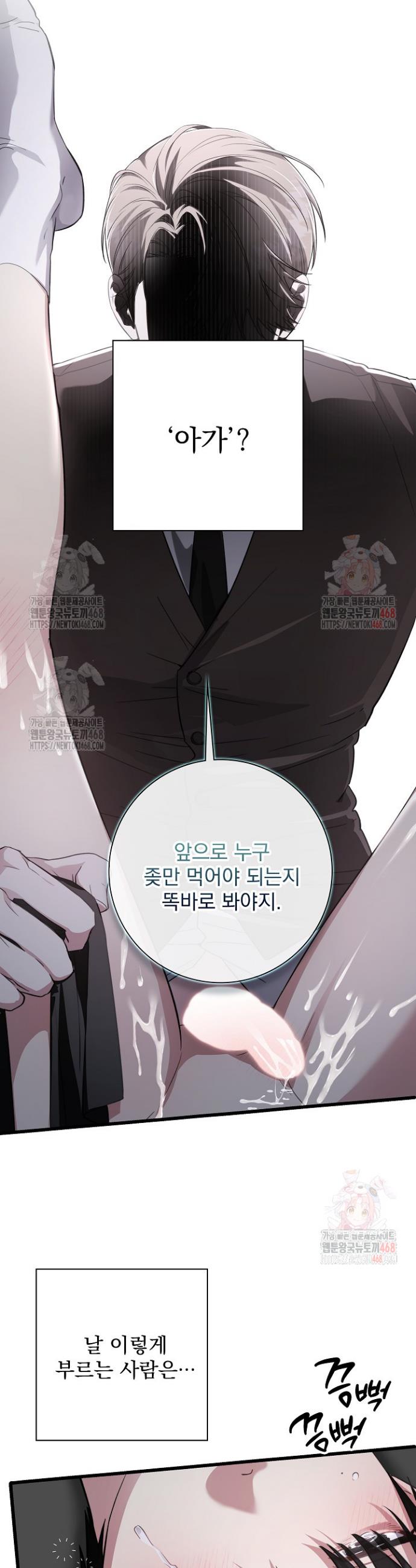 1747102020577yrf9wbsikfk.jpg