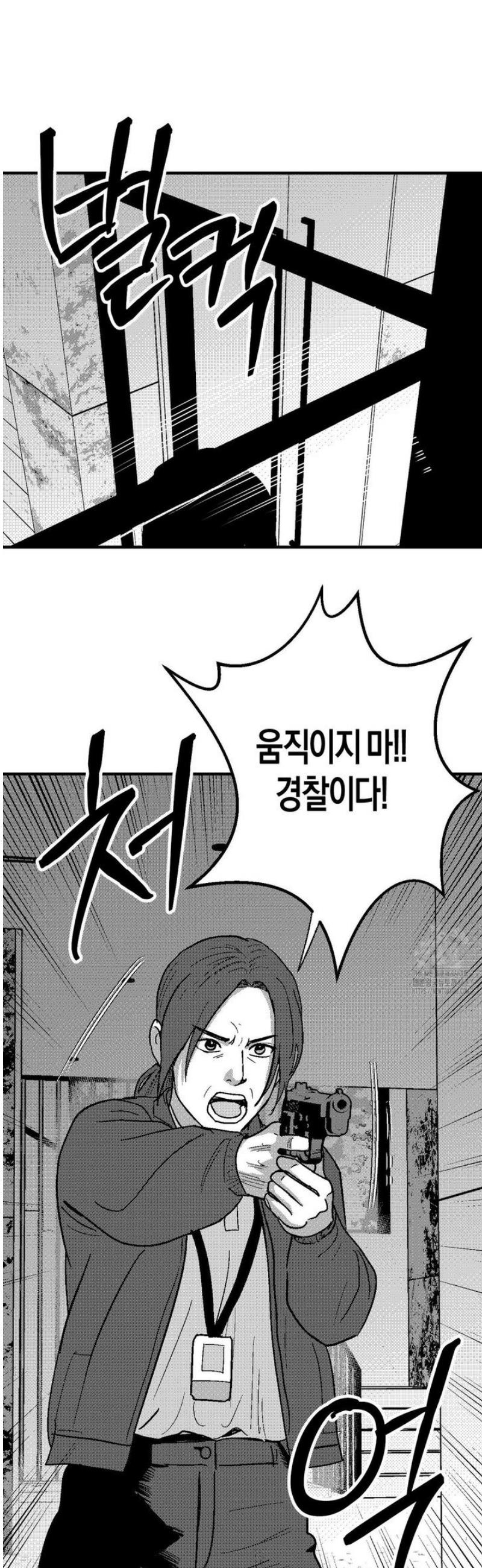 041.jpg