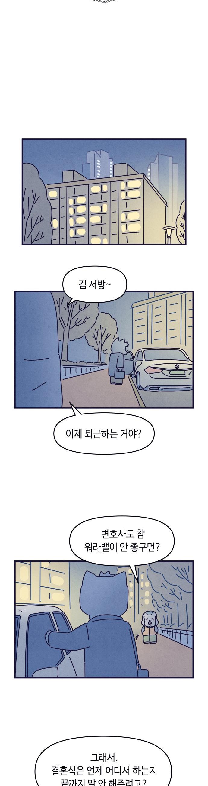 006.jpg