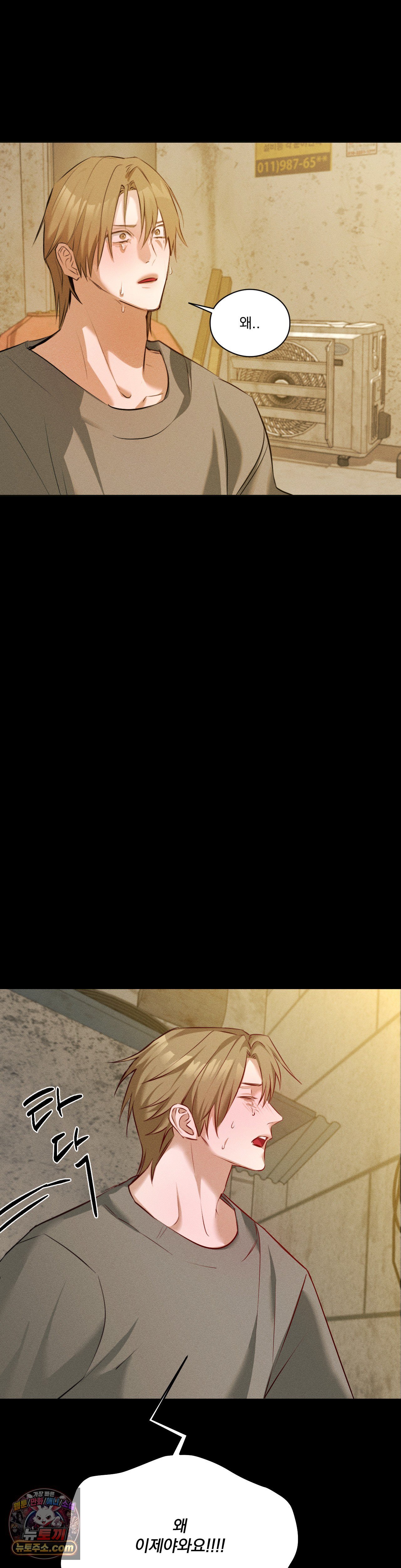 005.jpg