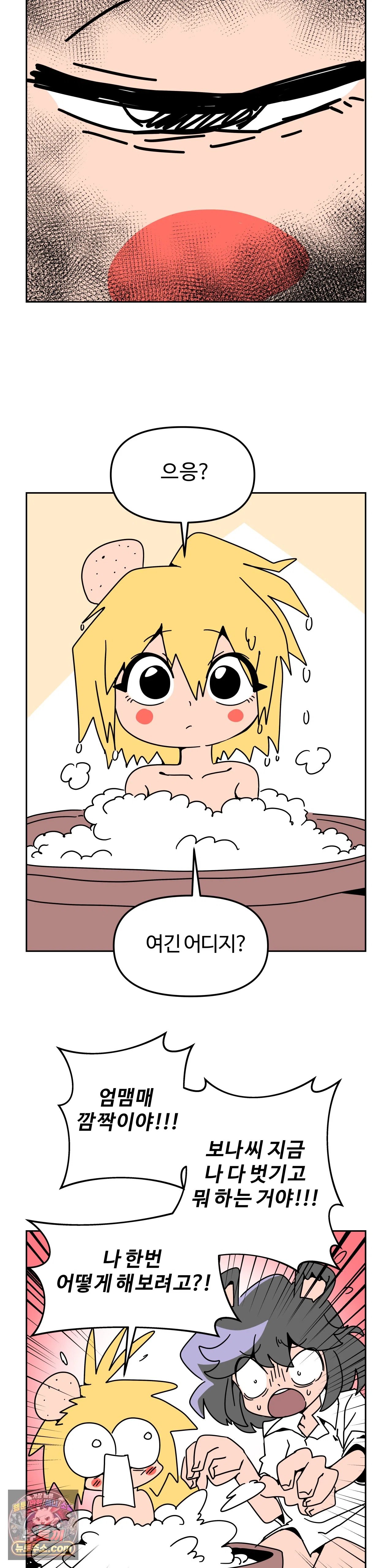 003.jpg