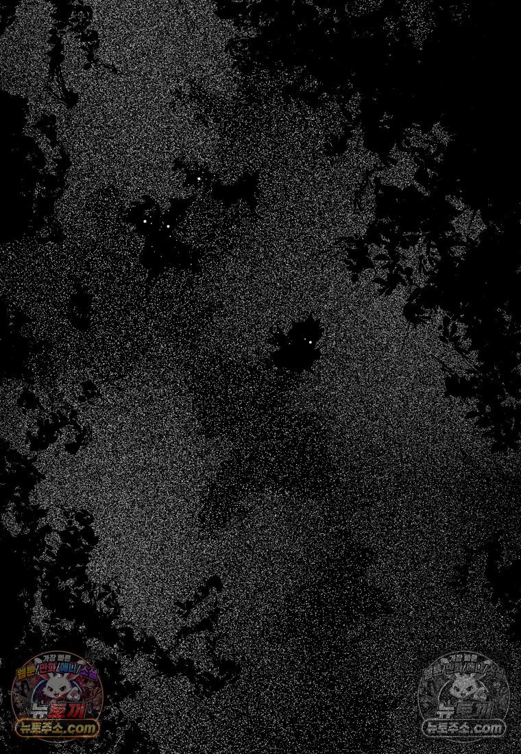 064.jpg