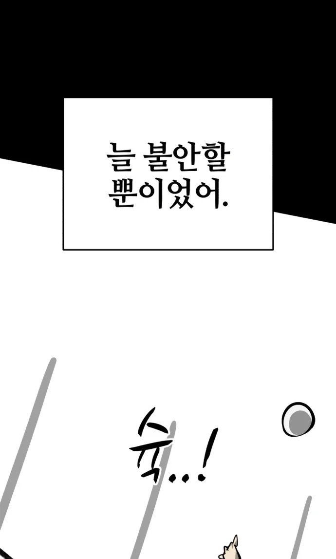 101.jpg